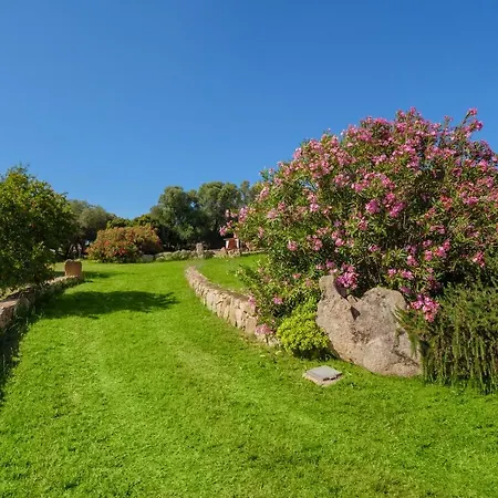 Delle Aie Primo Piano